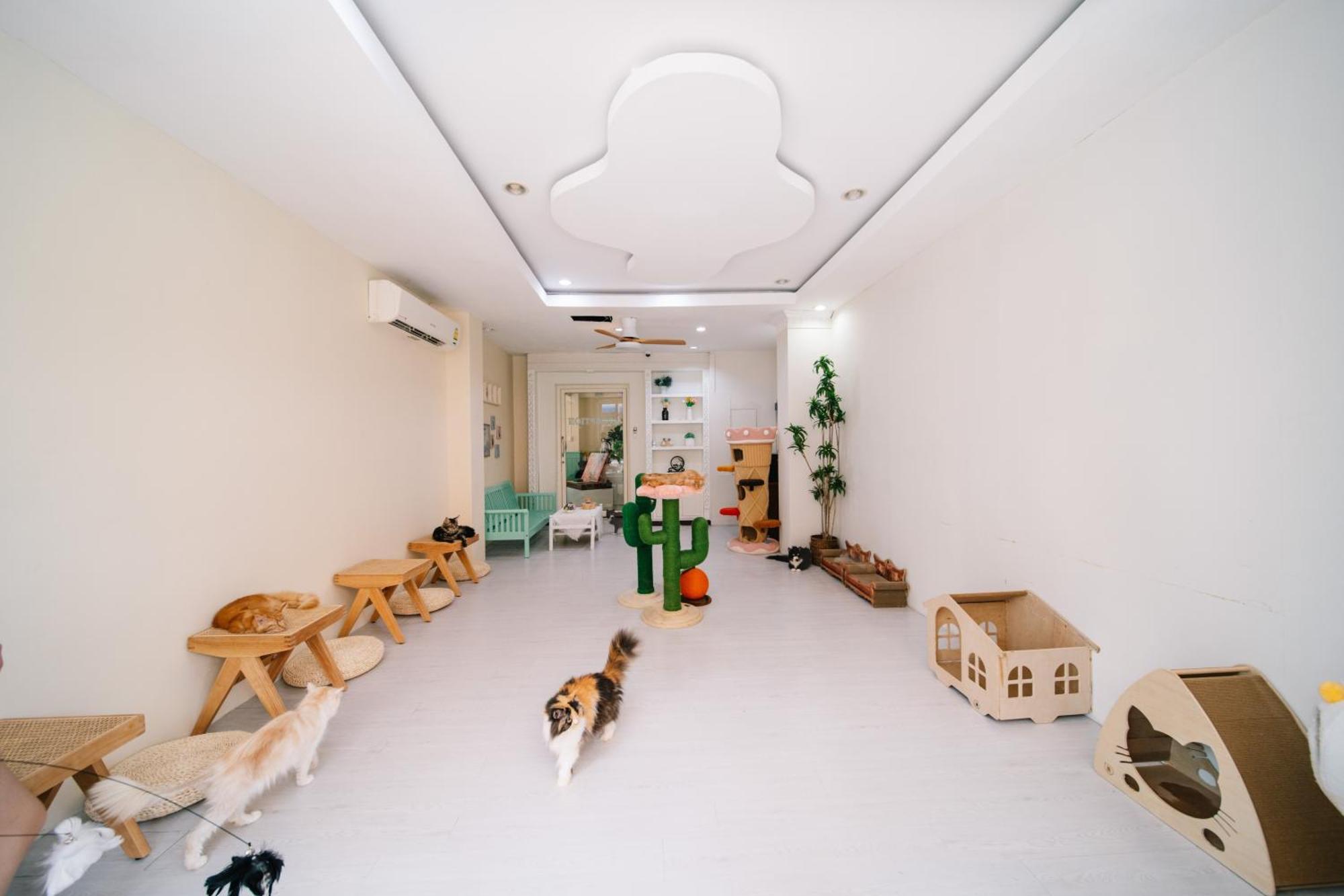 Catnip Seaside Hotel&Cafe Kathu Extérieur photo